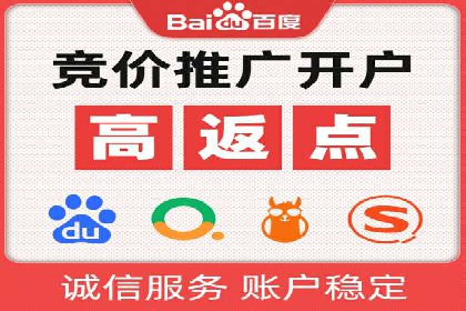 行业领先企业的SEM代理案例剖析